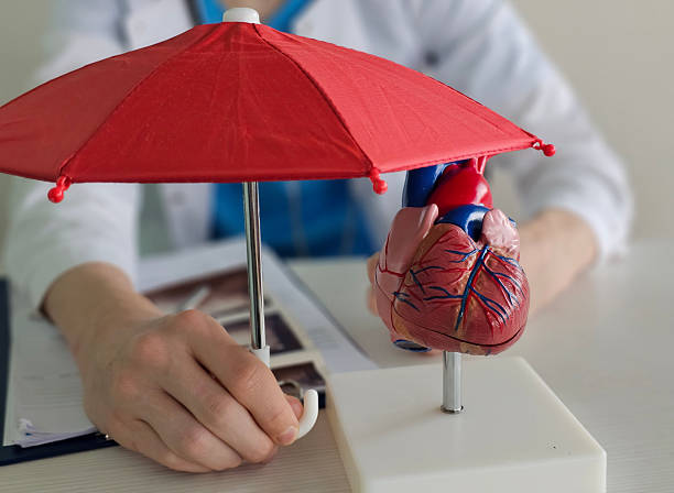 istock Heart model displayed under red umbrella by medical professional in laboratory setting during 2247317446
