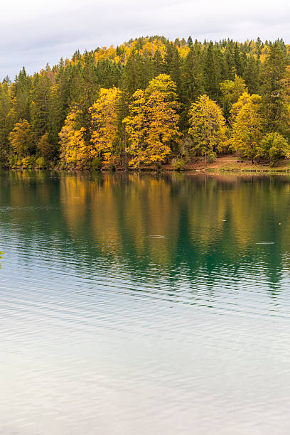 An easy walk along the shores of the Fusine Lakes. The colors of autumn and a light rain shower.