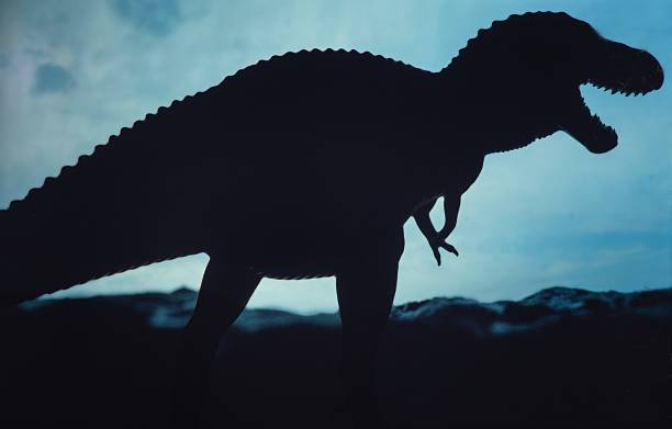 istock Dinosaurus, silhouette in a dark landscape 2247321486