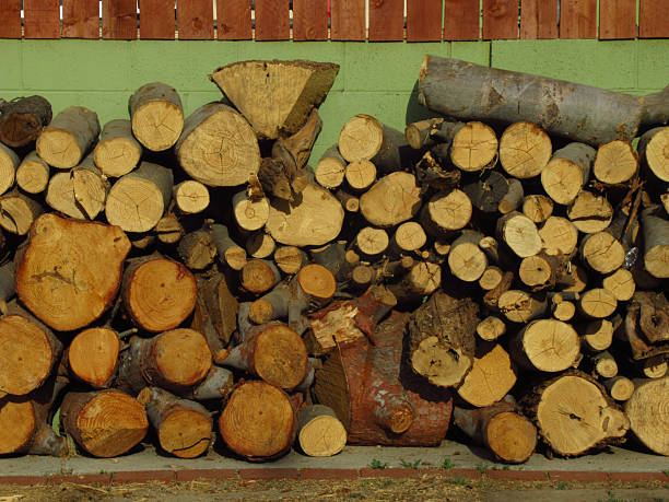 Chopped Wood Pile Outside Fence