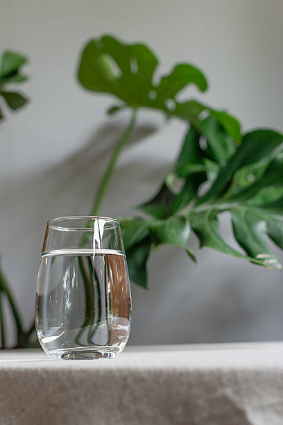 A glass of water on a table covered with green leaf background.