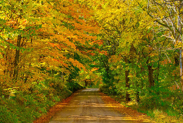 Country Road with fall leaf color-Northern Michigan