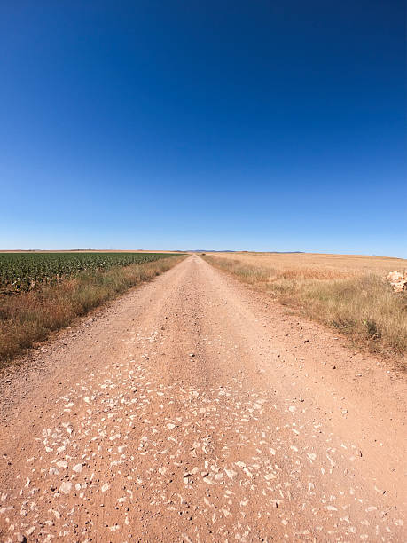 Straight dirt road stretching through the Spanish countryside under a clear blue sky. The road divides contrasting fields—green vegetation on one side and dry grass on the other—creating a vivid rural scene with strong perspective and vanishing point effect. Ideal for themes of travel, agriculture, solitude, and nature.
