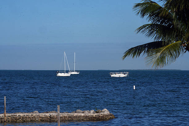 Sailboats, Sunshine and Palm Trees on the Gulf with beautiful blue water.