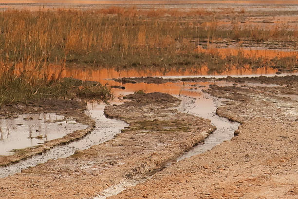 Detail of wet mudflats, a delicate and important environment, with a falling tide near to the mouth of the river Avon in Bristol, England.