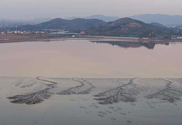 Tide-tree branching formations appear on the exposed mudflats during low tide at the Qiantang River in Haining, Zhejiang, China. The soft pastel evening light highlights the abstract natural patterns.