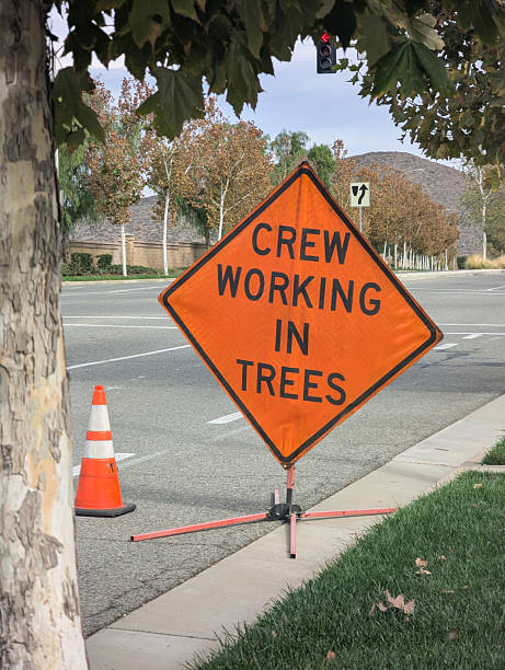 istock Crew working in trees warning sign on roadway 2247348259