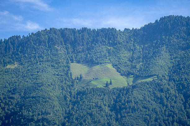 Scenic idyllic views from hike to Augstmatthorn in summer
