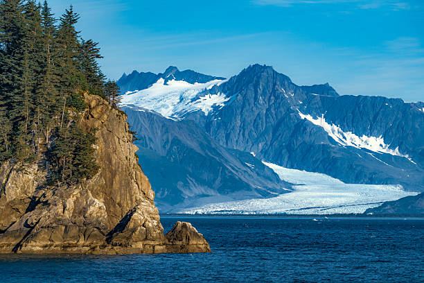 Holgate Glacier sprawls across the Alaskan landscape, with a rocky, tree-covered island in the foreground.