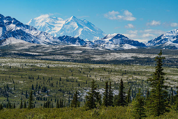 istock Denali looms over Alaska's green, snow-dusted landscape. 2247375861