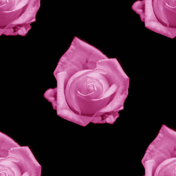 Beautiful pink rose flowers. Blooming roses seamless pattern. Floral natural background.