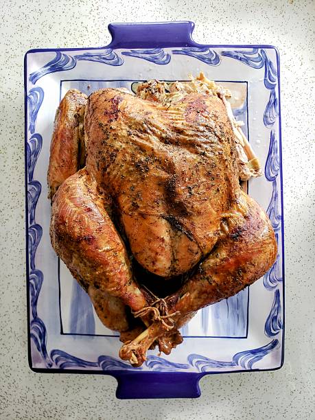 A high-angle, top-down shot of a golden-brown roasted whole chicken served on a decorative blue and white patterned plate. The chicken is seasoned to perfection with visible herbs and cracked pepper, resting on a clean, minimalist background. The contrast between the vibrant plate design and the rustic, succulent poultry creates a sophisticated yet homey presentation. This image is perfect for lifestyle content, Sunday dinner themes, and elegant food styling.