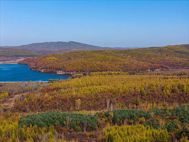 Autumn Landscape with Forested Hills and Lake under Clear Blue Sky