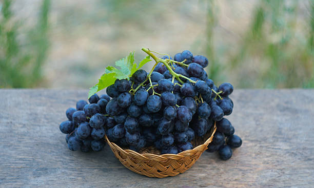 istock A bunch of black grapes in a basket in nature 2247409077