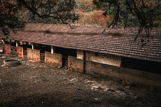 Old rural stable in Brazil, photographed from above with warm afternoon light. The long structure with weathered tiles and rustic walls shows individual stalls beneath its roof.