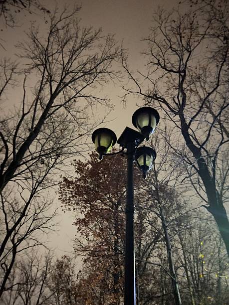 istock Lamppost at night with trees with no leaves. 2247410690