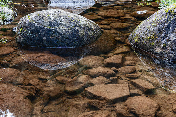 beautiful mountain stream in the Karkonosze mountains