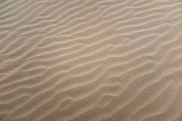 istock A textured close-up view of rhythmic wind-blown sand ripples 2247411174