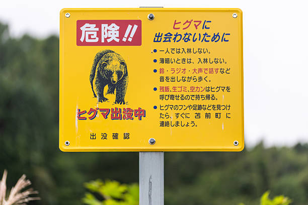 August 20 2025, Tomamae, Hokkaido. Bear warning signs have been erected in certain areas where Brown Bears have been reported.