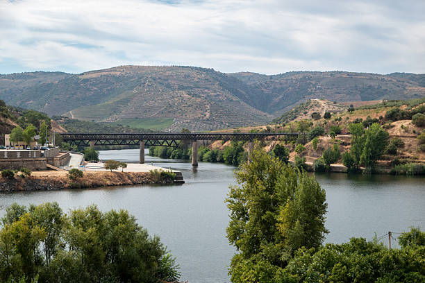 Barca d'Alva railway bridge crossing the Douro River, framed by the arid and wooded slopes of the International Douro Valley, under a partly cloudy sky in Portugal