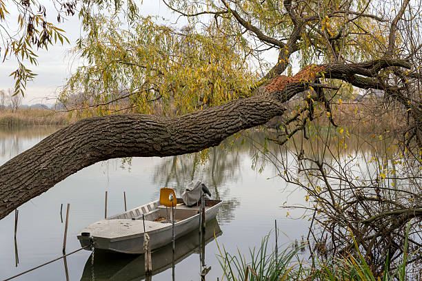 A small boat rests quietly on the water, anchored near the shore. A large tree extends its branches over the boat, while gentle ripples disturb the peaceful river setting in late afternoon light.