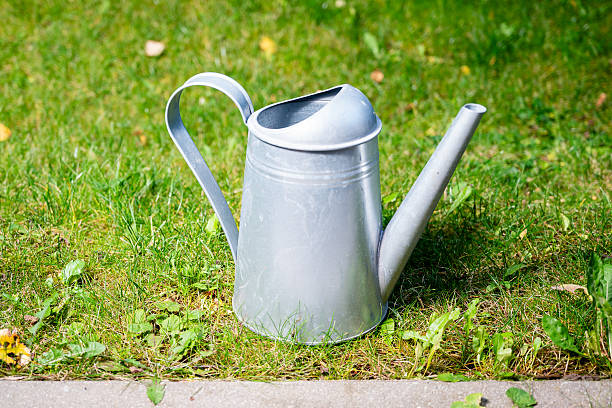 tin garden watering tank on green grass lawn with weeds on summer day