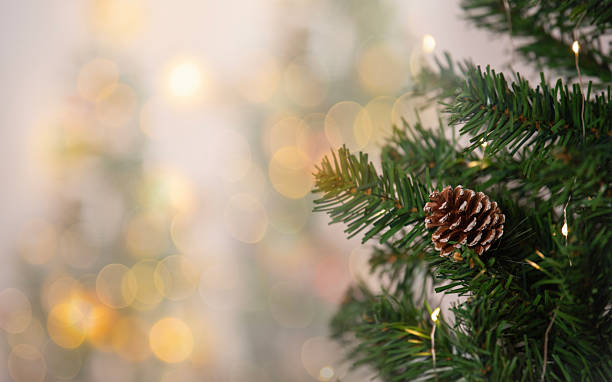 istock Christmas tree branch with pine cone and warm bokeh lights creating a festive holiday ambiance for seasonal decoration concepts winter celebration themes cozy Christmas background 2247427995