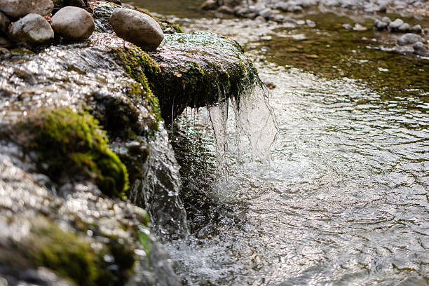 Clear stream water flowing over moss-covered rocks, creating a small tranquil waterfall in a natural creek environment