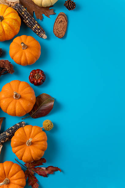 istock Thanksgiving Holiday Background with Pumpkins 2247433110