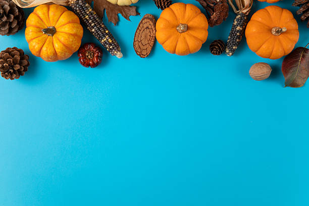 istock Thanksgiving Holiday Background with Pumpkins 2247434081