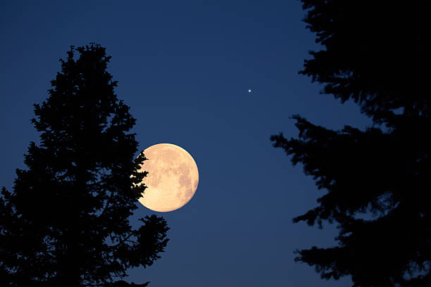 istock Full Moon with stars, planets and rural countryside tree silhouettes. 2247436045
