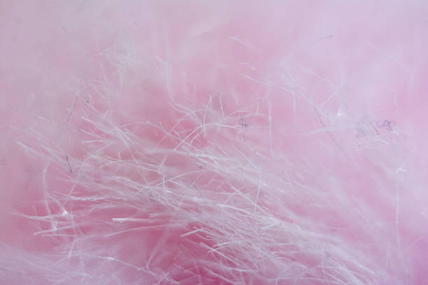 istock Beautiful pink textured macro photograph 2247437349