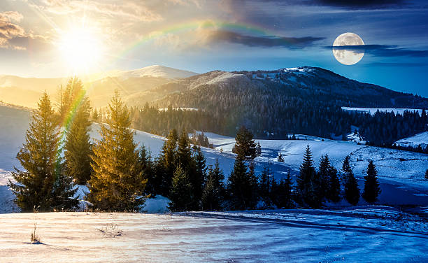 istock spruce forest on a meadow covered with snow in mountains 2247440941