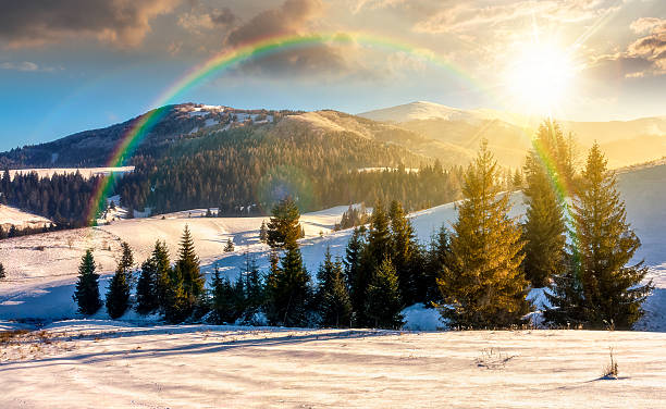 istock spruce forest on a meadow covered with snow in mountains at sunset 2247441062