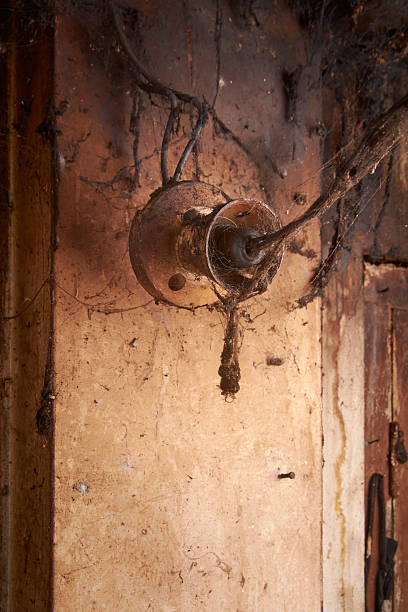 close-up of old electric fixture covered in cobwebs and dust, grimy wiring on stained wall, abandon and industrial decay concept in vertical orientation