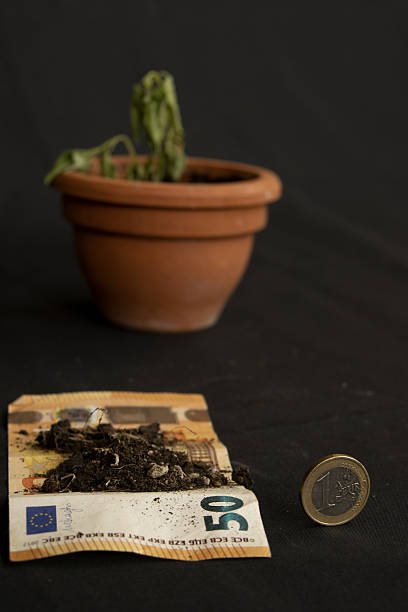 dried plant debris covering a bill next to one euro coin symbolizing economic collapse, currency worthlessness, financial crisis, investment failure, and monetary decline