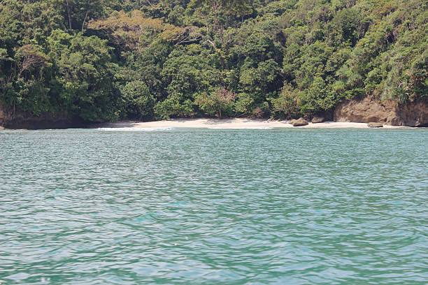 istock Serene tropical beach with turquoise water and lush green rainforest view 2247452055