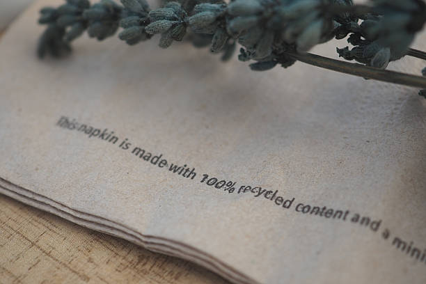 istock Eco-friendly napkin display with dried plant decoration 2247454773