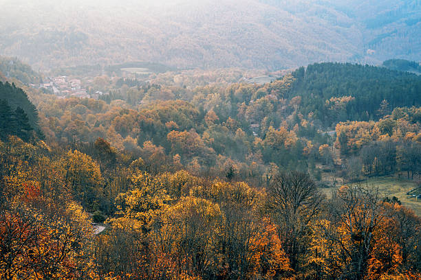 istock Autumn forest valley with village and hazy mountains 2247457609