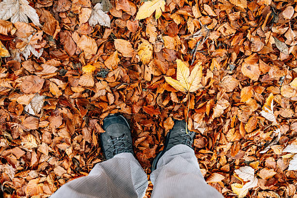 Feet wearing hiking boots standing on ground covered with vibrant autumn leaves, celebrating the fall season outdoors
