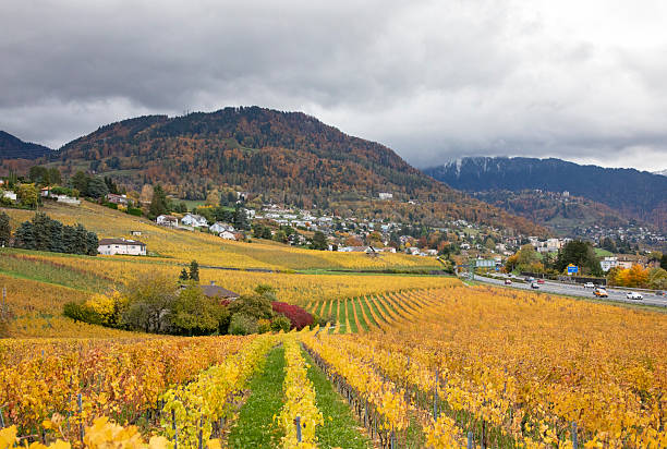 Picture from Chailly village