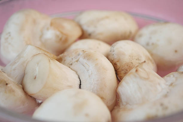 Fresh, clean mushrooms are arranged in a bowl, showcasing their texture.