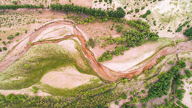 istock Cattle, sheep and rivers on the vast grasslan 2247466062