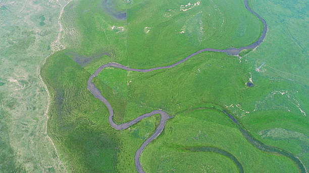 istock Cattle, sheep and rivers on the vast grasslan 2247466097