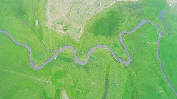 istock Cattle, sheep and rivers on the vast grasslan 2247466099