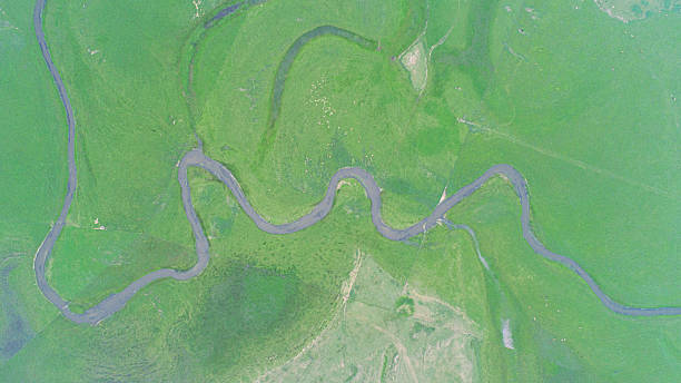 istock Cattle, sheep and rivers on the vast grasslan 2247466103