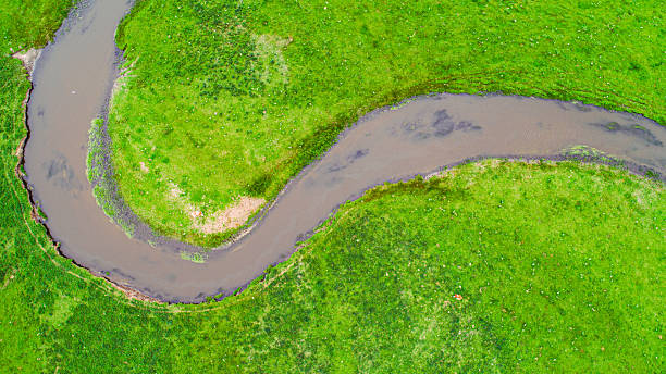 istock Cattle, sheep and rivers on the vast grasslan 2247466283