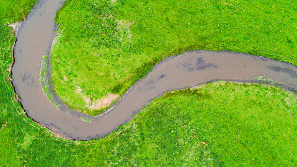 istock Cattle, sheep and rivers on the vast grasslan 2247466286