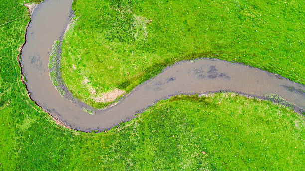 istock Cattle, sheep and rivers on the vast grasslan 2247466296