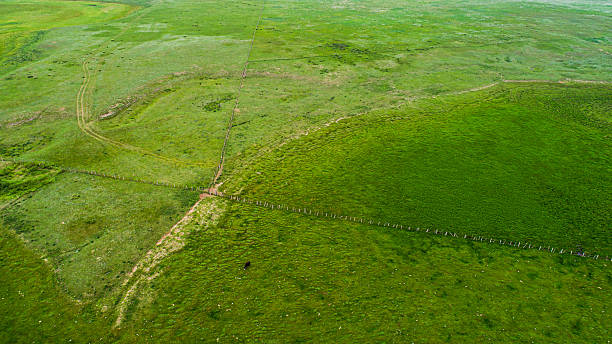 istock Cattle, sheep and rivers on the vast grasslan 2247466300